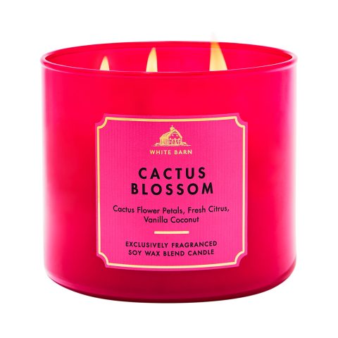 Cactus Blossom BBW Scented 3 Wick Candle 14.5oz