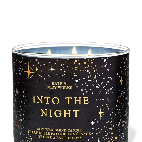 Into The Night BBW Scented 3 Wick Candle 14.5oz